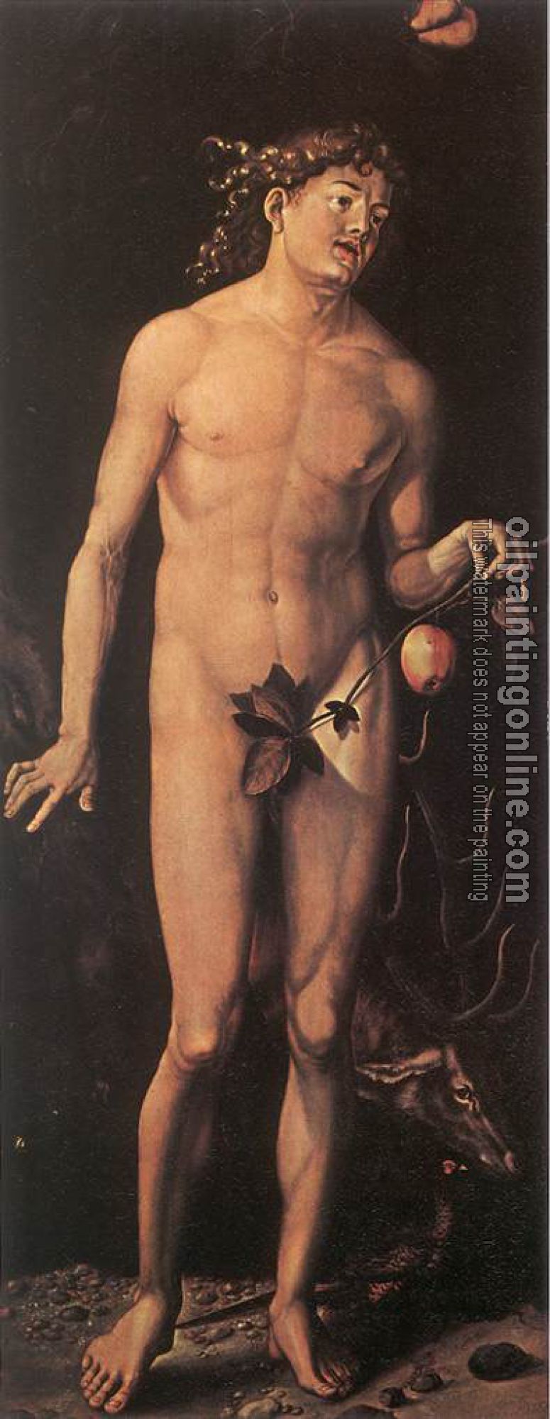 Grien, Hans Baldung - Adam and Eve